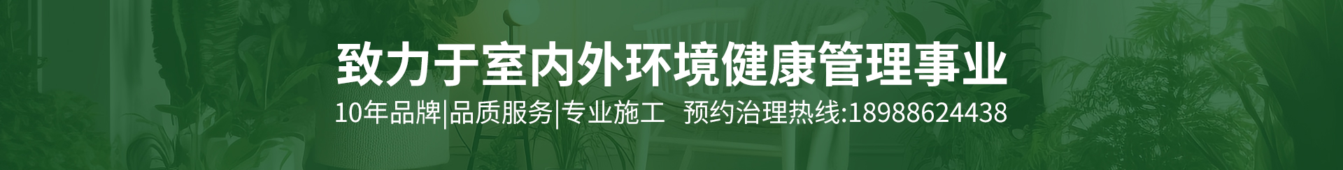 首页中间横图.jpg